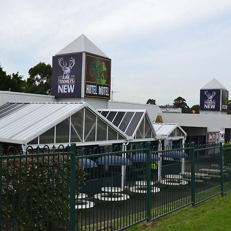 The Oaks Hotel Motel Albion Park Exterior foto